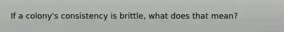 If a colony's consistency is brittle, what does that mean?