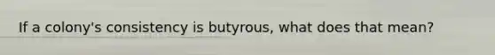 If a colony's consistency is butyrous, what does that mean?