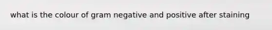 what is the colour of gram negative and positive after staining