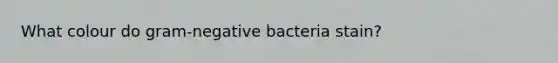 What colour do gram-negative bacteria stain?