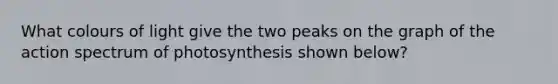 What colours of light give the two peaks on the graph of the action spectrum of photosynthesis shown below?