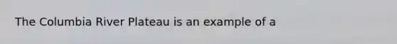 The Columbia River Plateau is an example of a