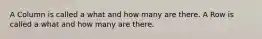 A Column is called a what and how many are there. A Row is called a what and how many are there.