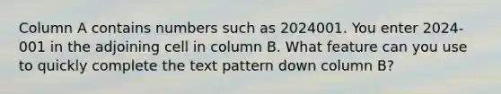 Column A contains numbers such as 2024001. You enter 2024-001 in the adjoining cell in column B. What feature can you use to quickly complete the text pattern down column B?