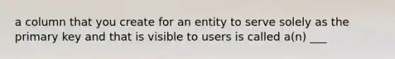 a column that you create for an entity to serve solely as the primary key and that is visible to users is called a(n) ___