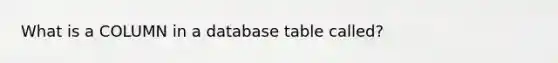 What is a COLUMN in a database table called?