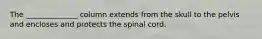 The ______________ column extends from the skull to the pelvis and encloses and protects the spinal cord.