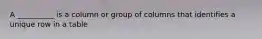 A __________ is a column or group of columns that identifies a unique row in a table