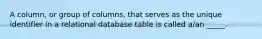 A column, or group of columns, that serves as the unique identifier in a relational database table is called a/an _____.