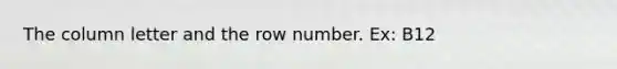 The column letter and the row number. Ex: B12