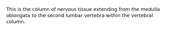 This is the column of nervous tissue extending from the medulla oblongata to the second lumbar vertebra within the vertebral column.