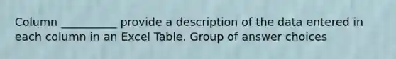 Column __________ provide a description of the data entered in each column in an Excel Table. Group of answer choices
