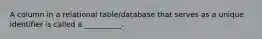 A column in a relational table/database that serves as a unique identifier is called a __________.