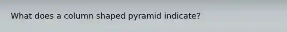 What does a column shaped pyramid indicate?