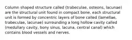 Column shaped structure called (trabeculae, osteons, lacunae) are the structural unit found in compact bone. each structural unit is formed by concentric layers of bone called (lamellae, trabeculae, lacunae) surrounding a long hollow cavity called (medullary cavity, bony sinus, lacuna, central canal) which contains blood vessels and nerves.