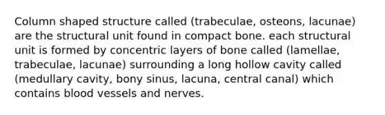 Column shaped structure called (trabeculae, osteons, lacunae) are the structural unit found in compact bone. each structural unit is formed by concentric layers of bone called (lamellae, trabeculae, lacunae) surrounding a long hollow cavity called (medullary cavity, bony sinus, lacuna, central canal) which contains blood vessels and nerves.