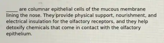 _____ are columnar epithelial cells of the mucous membrane lining the nose. They provide physical support, nourishment, and electrical insulation for the olfactory receptors, and they help detoxify chemicals that come in contact with the olfactory epithelium.