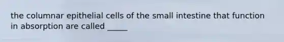 the columnar epithelial cells of the small intestine that function in absorption are called _____