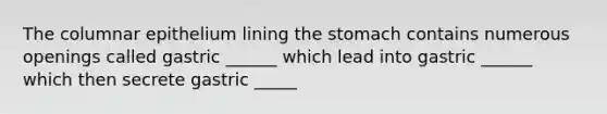 The columnar epithelium lining <a href='https://www.questionai.com/knowledge/kLccSGjkt8-the-stomach' class='anchor-knowledge'>the stomach</a> contains numerous openings called gastric ______ which lead into gastric ______ which then secrete gastric _____