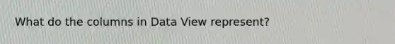 What do the columns in Data View represent?