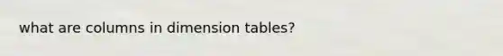 what are columns in dimension tables?