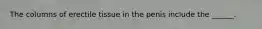 The columns of erectile tissue in the penis include the ______.