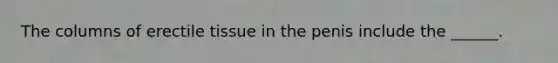 The columns of erectile tissue in the penis include the ______.