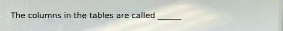 The columns in the tables are called ______