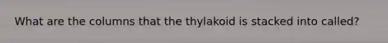 What are the columns that the thylakoid is stacked into called?