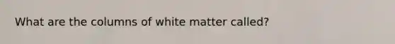 What are the columns of white matter called?