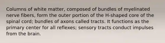 Columns of white matter, composed of bundles of myelinated nerve fibers, form the outer portion of the H-shaped core of the spinal cord; bundles of axons called tracts. It functions as the primary center for all reflexes; sensory tracts conduct impulses from the brain.