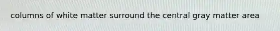columns of white matter surround the central gray matter area