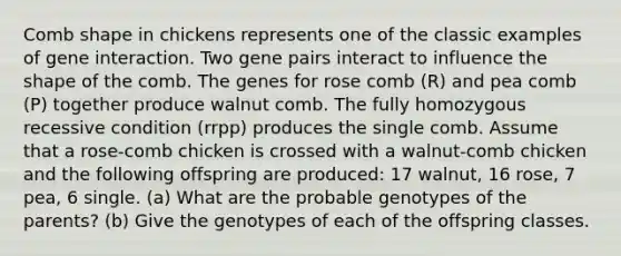 Comb shape in chickens represents one of the classic examples of gene interaction. Two gene pairs interact to influence the shape of the comb. The genes for rose comb (R) and pea comb (P) together produce walnut comb. The fully homozygous recessive condition (rrpp) produces the single comb. Assume that a rose-comb chicken is crossed with a walnut-comb chicken and the following offspring are produced: 17 walnut, 16 rose, 7 pea, 6 single. (a) What are the probable genotypes of the parents? (b) Give the genotypes of each of the offspring classes.