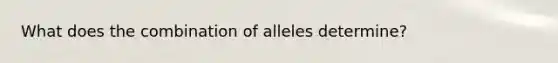 What does the combination of alleles determine?