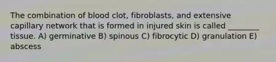 The combination of blood clot, fibroblasts, and extensive capillary network that is formed in injured skin is called ________ tissue. A) germinative B) spinous C) fibrocytic D) granulation E) abscess