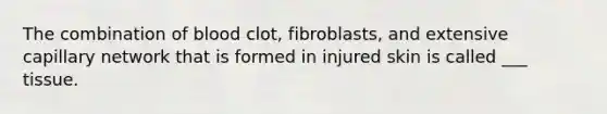 The combination of blood clot, fibroblasts, and extensive capillary network that is formed in injured skin is called ___ tissue.