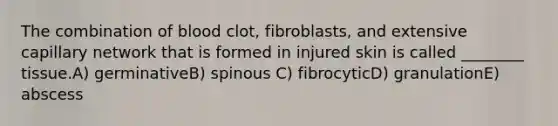 The combination of blood clot, fibroblasts, and extensive capillary network that is formed in injured skin is called ________ tissue.A) germinativeB) spinous C) fibrocyticD) granulationE) abscess