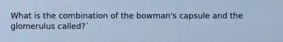 What is the combination of the bowman's capsule and the glomerulus called?`