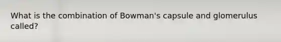 What is the combination of Bowman's capsule and glomerulus called?