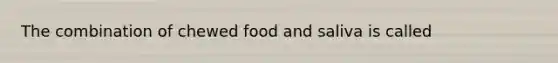 The combination of chewed food and saliva is called