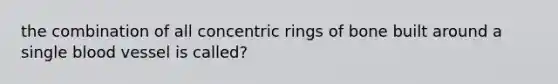 the combination of all concentric rings of bone built around a single blood vessel is called?