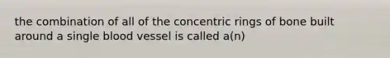 the combination of all of the concentric rings of bone built around a single blood vessel is called a(n)