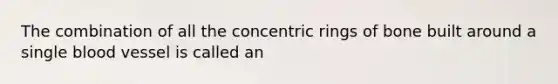 The combination of all the concentric rings of bone built around a single blood vessel is called an