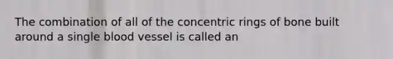 The combination of all of the concentric rings of bone built around a single blood vessel is called an