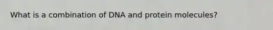 What is a combination of DNA and protein molecules?