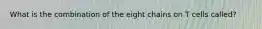What is the combination of the eight chains on T cells called?
