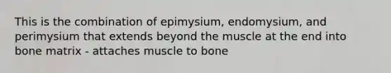 This is the combination of epimysium, endomysium, and perimysium that extends beyond the muscle at the end into bone matrix - attaches muscle to bone