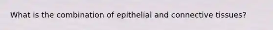 What is the combination of epithelial and connective tissues?