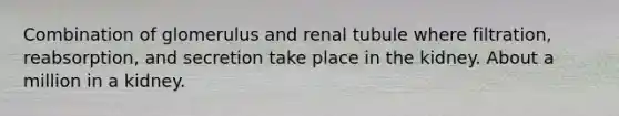 Combination of glomerulus and renal tubule where filtration, reabsorption, and secretion take place in the kidney. About a million in a kidney.