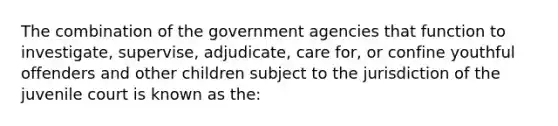 The combination of the government agencies that function to investigate, supervise, adjudicate, care for, or confine youthful offenders and other children subject to the jurisdiction of the juvenile court is known as the: